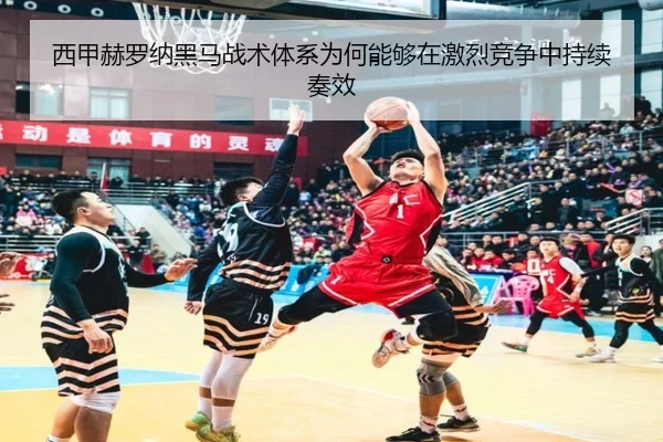 img_1779985848830_769_1_699.jpg