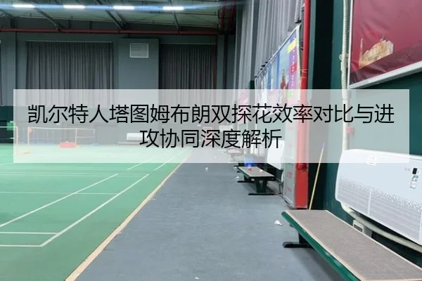 凯尔特人塔图姆布朗双探花效率对比与进攻协同深度解析